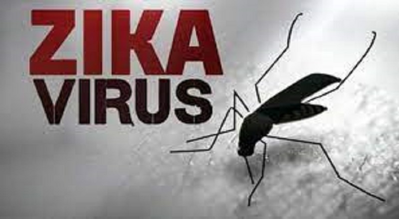 66 பேருக்கு Zika வைரஸ் பரவல் 